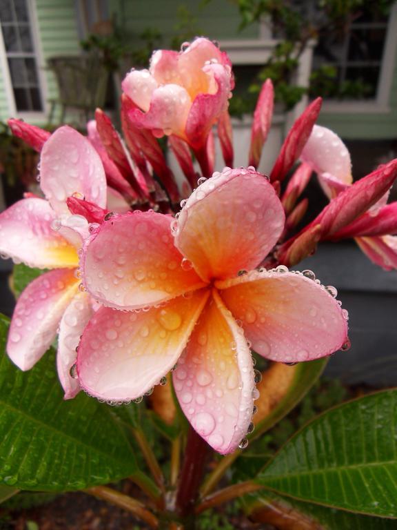 Huskisson Bed And Breakfast Esterno foto